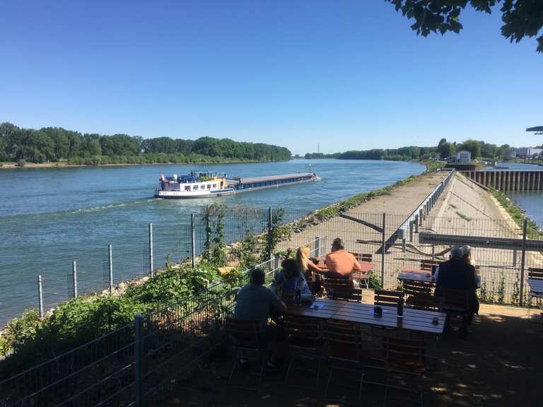 Altes Ruderhaus - Rheinhessen, Rheinland-Pfalz | Radtouren ...