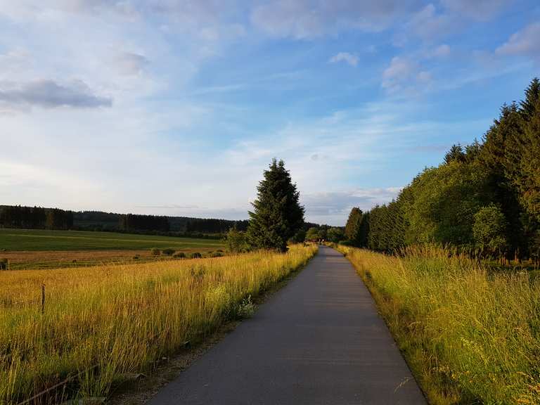 Het meer van Bütgenbach ontdekken - Parc Naturel Des Hautes Fagnes ...