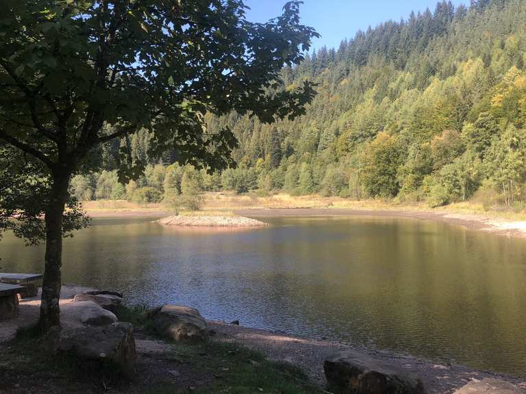 Sankenbachsee - Baiersbronn, Freudenstadt | Wandertipps & Fotos | Komoot