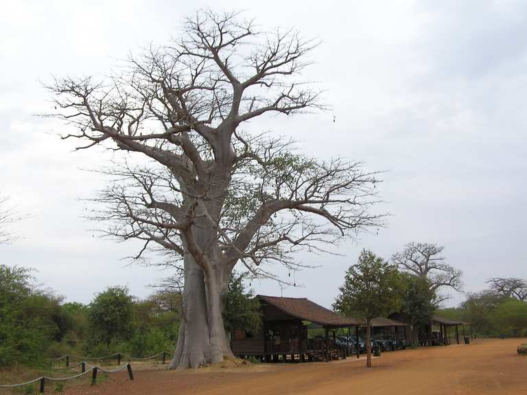 Réserve de Bandia Wanderungen und Rundwege komoot