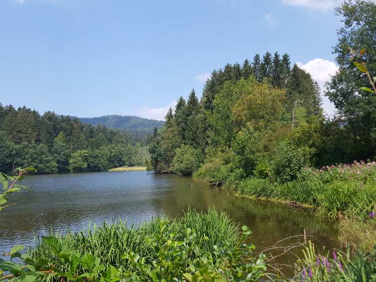 Aussichtsturm Oberfrauenwald – Freudensee Runde von Raßreuth ...