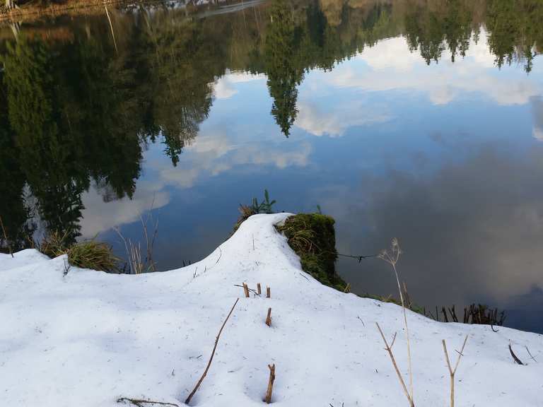 40+ Neuer Teich Zorge, Andrea hat eine wanderung aufgezeichnet: