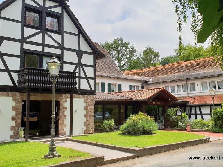 Mönchbruch Radtouren und Radwege komoot