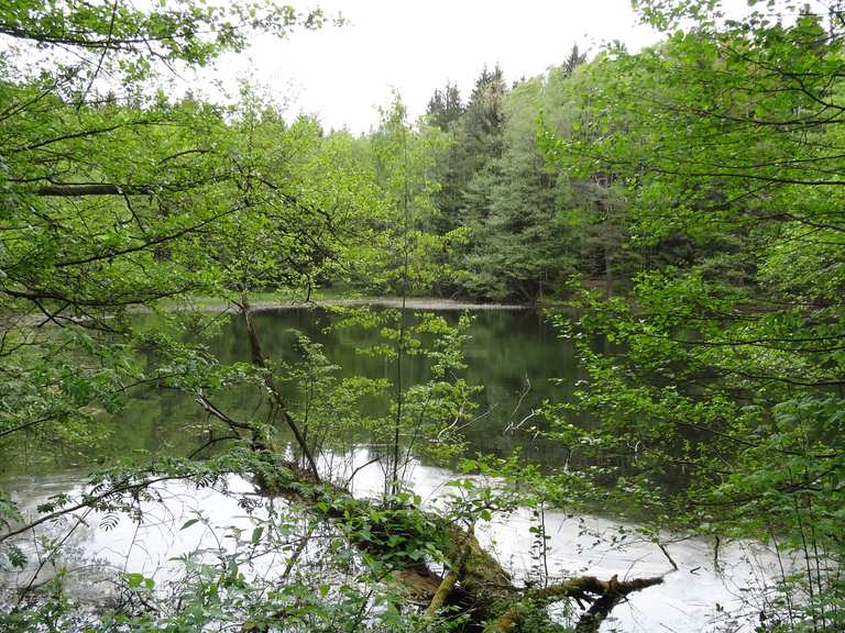 Schwarzer Teich MountainbikeTouren und Trails komoot