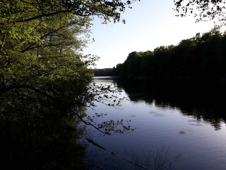 Krumme Lanke - Berlin, Deutschland | Wandertipps & Fotos | Komoot
