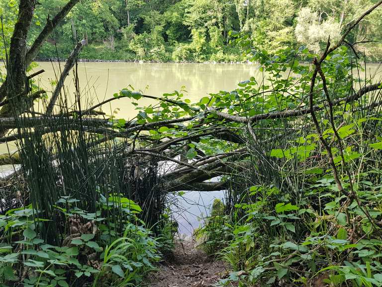 Englischer Garten Neuburg Wanderungen und Rundwege komoot