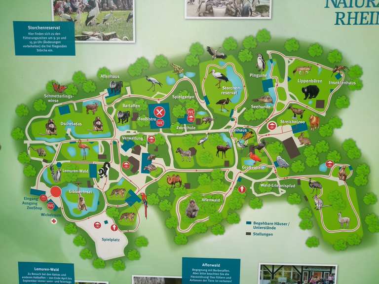 Naturzoo Rheine Wanderungen und Rundwege komoot