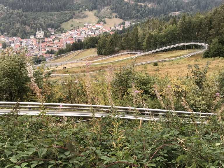 Hasenhorn Rodelbahn Routes for Walking and Hiking Komoot