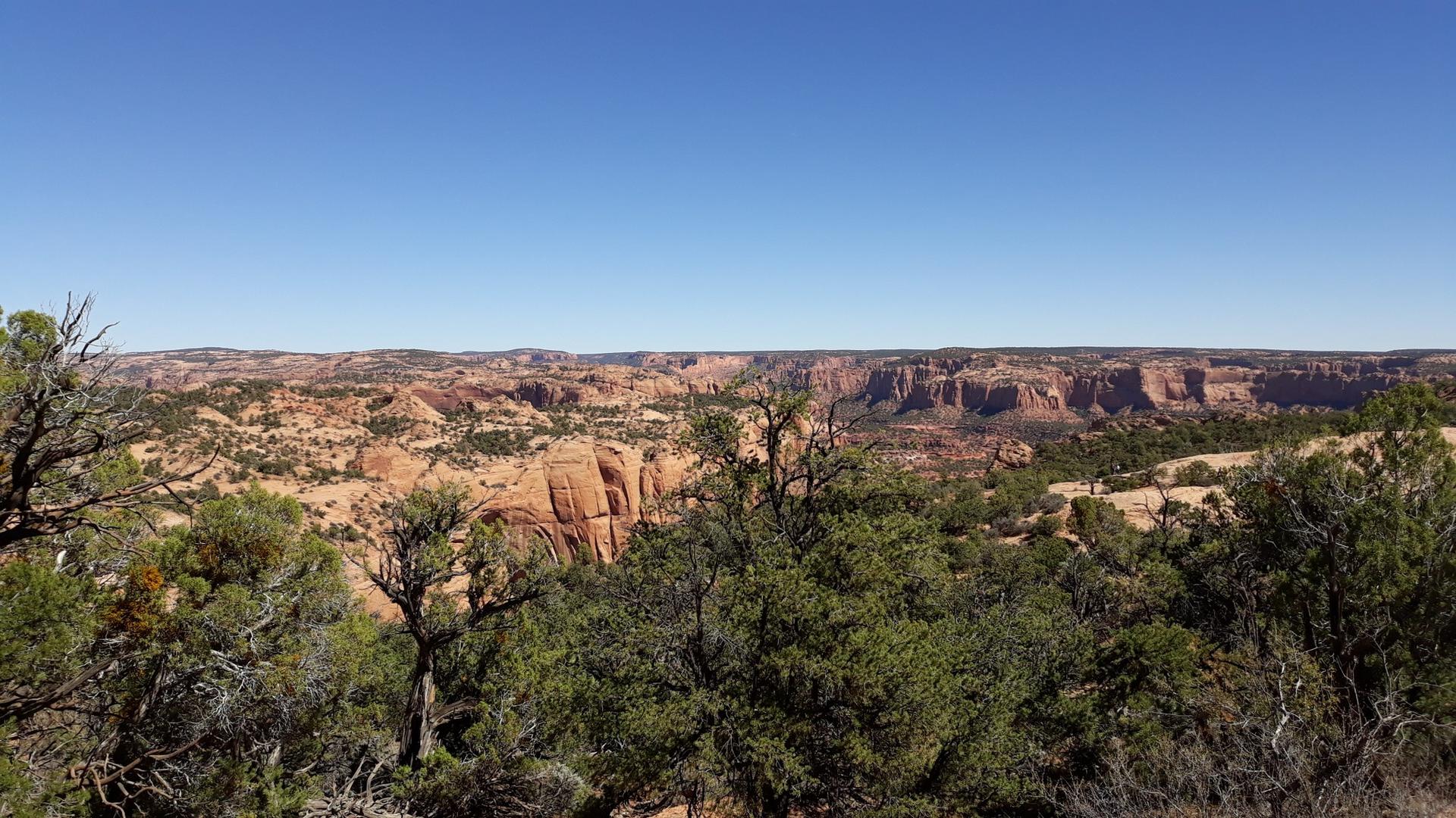 Expansive desert canyon landscape with green trees under a clear blue sky.