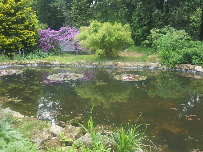 Botanischer Garten Loismann, Ibbenbüren - Ibbenbüren ...