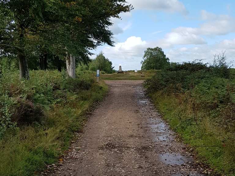 Stepping Stones, Cannock Chase Top of "The Butts" loop from Slitting