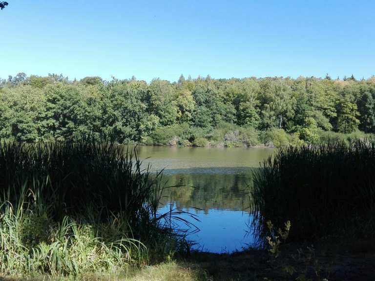 Drei Teiche (Mittlerer Teich) Itinéraires de rando et marche Komoot