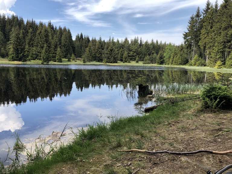 Ullersdorfer Teich Wanderungen und Rundwege komoot