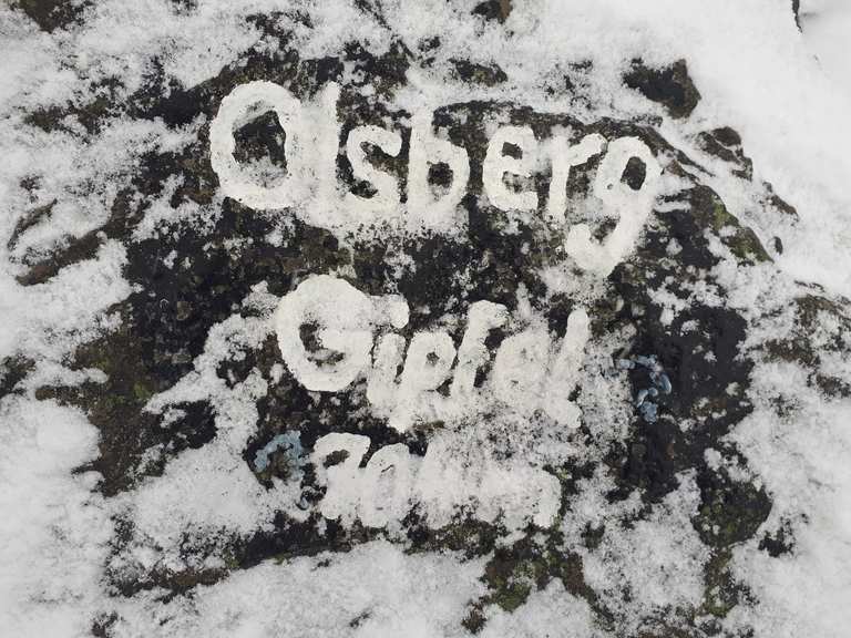 Gipfel Olsberg (704 Meter) Wanderungen und Rundwege komoot