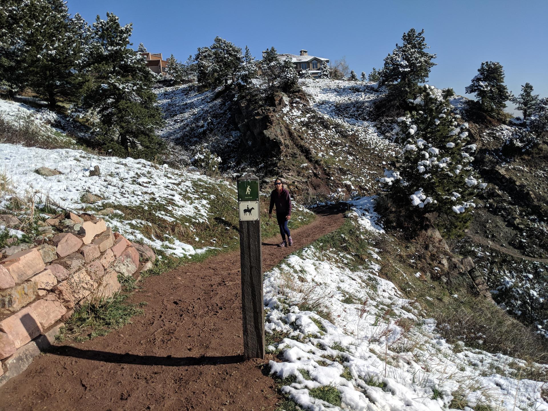 A person hikes a snowy dirt trail on a sunny hillside with pine trees.