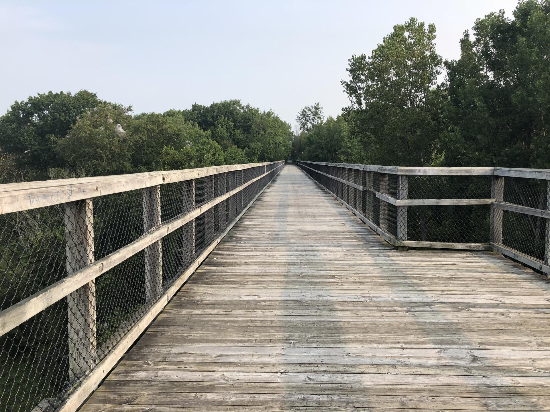 A long wooden boardwalk extends into a green, tree-lined distance.
