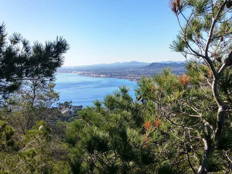 Cala Rotja Mirador Cap des Pinar Recorrido circular desde Canyamel Caminata Komoot
