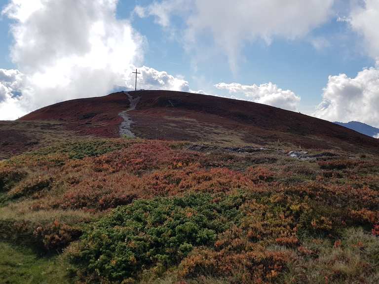 Col Dal Le 2 175 Meter Mountain Bike Trails Tracks Komoot
