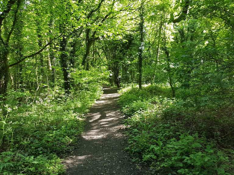 Far Tupton Wood - Derbyshire England Tips Photos for 
