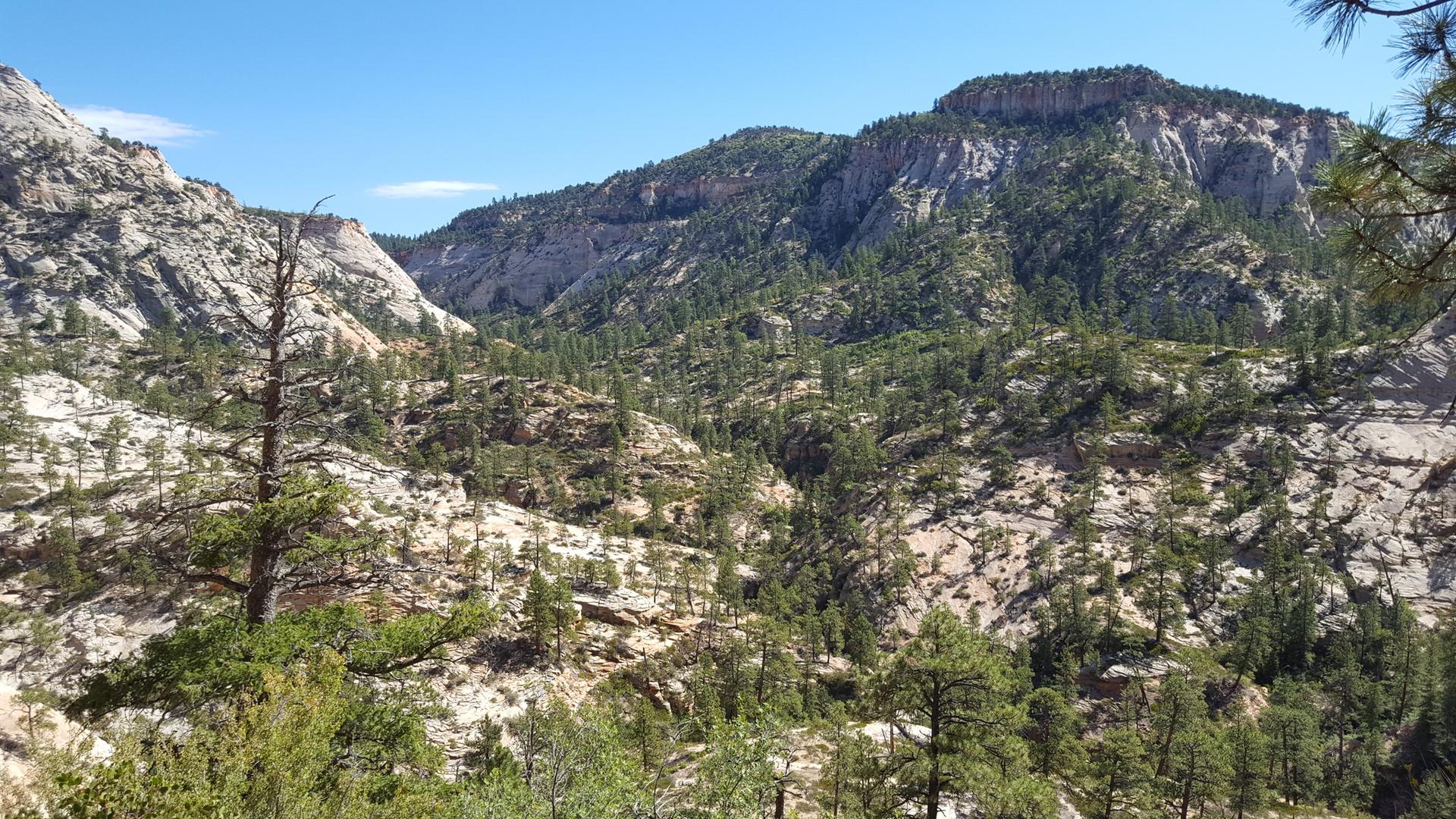 Mountainous landscape with rocky slopes and scattered pine trees under a clear blue sky.