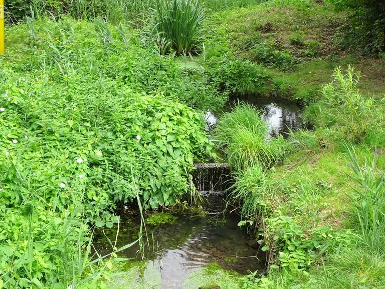 Malzmüllerwiesen Wanderungen und Rundwege komoot