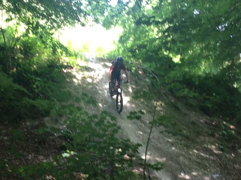 friston forest mtb trails