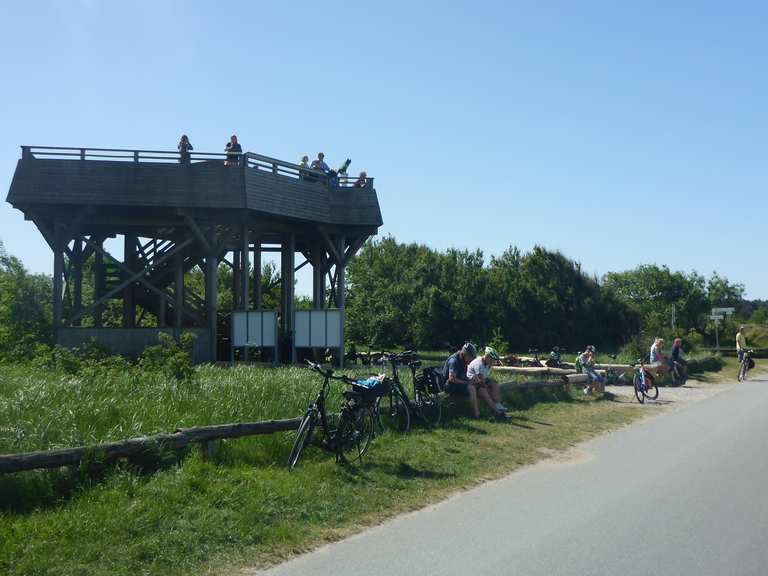 fahrrad mit 4 rädern für 2 personen duhnen