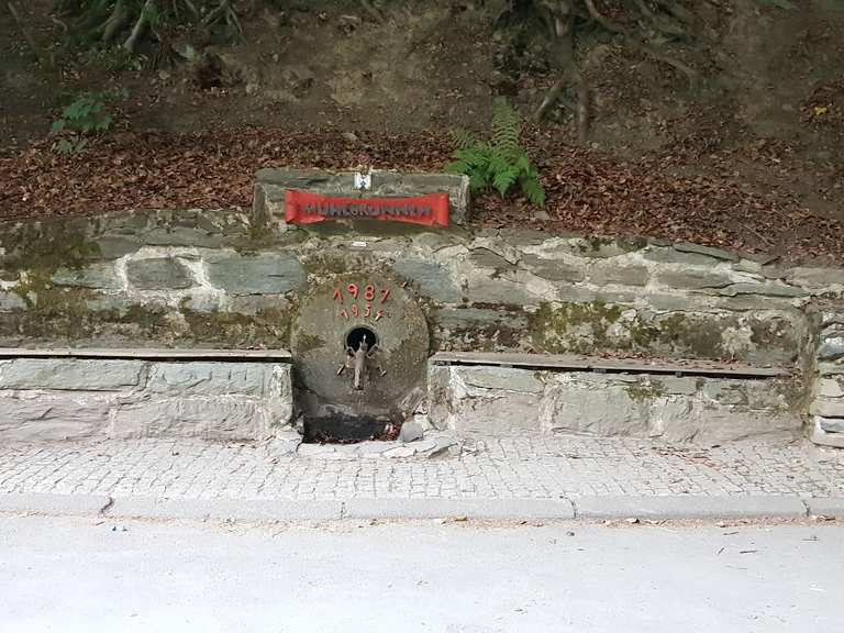 Am Mühlenbrunnen MountainbikeTouren und Trails komoot