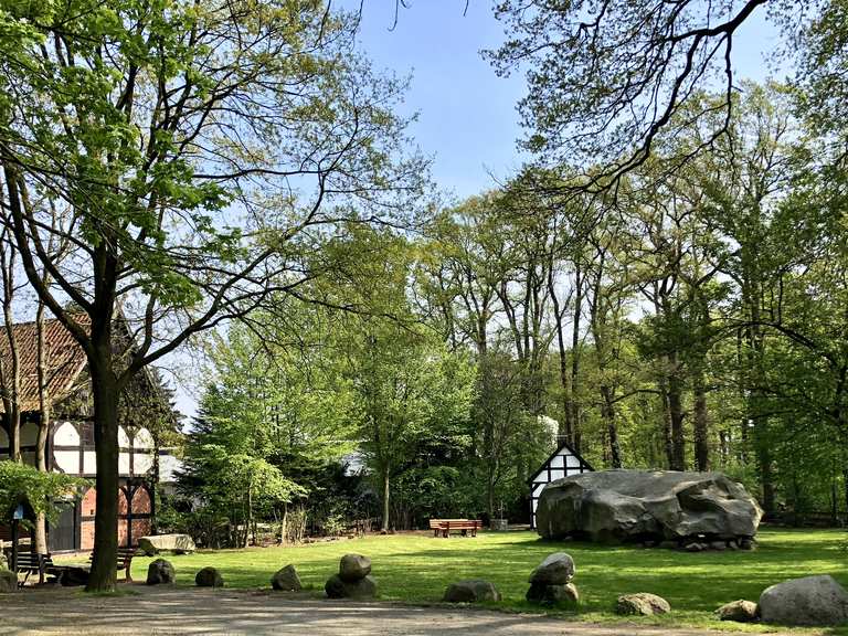 Tonnenheide-Großer Stein | Fahrradtour | Komoot