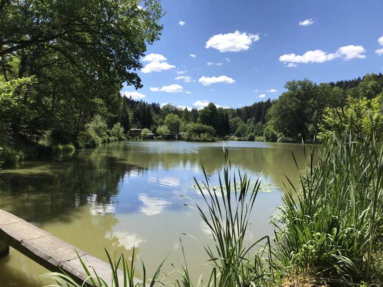 Käppels Teich Radtouren und Radwege komoot