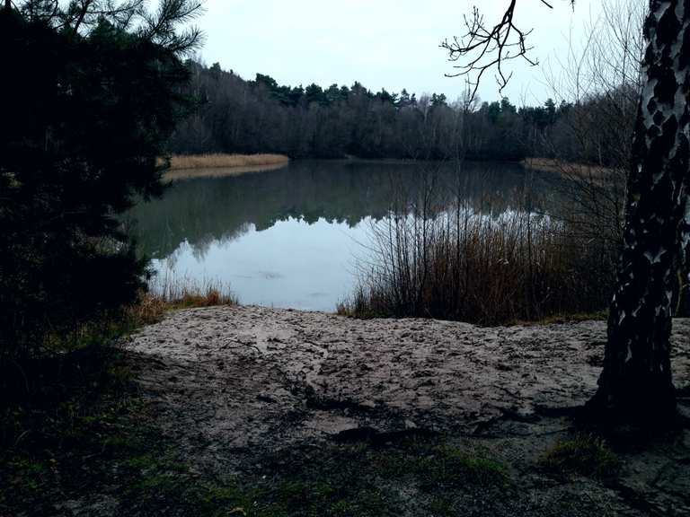 Vogelpark Schifferstadt – Waldspielplatz Runde von Speyer-West ...