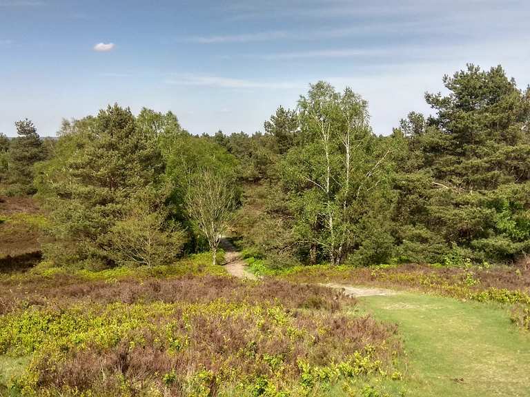 Brunsberg Wanderungen und Rundwege komoot