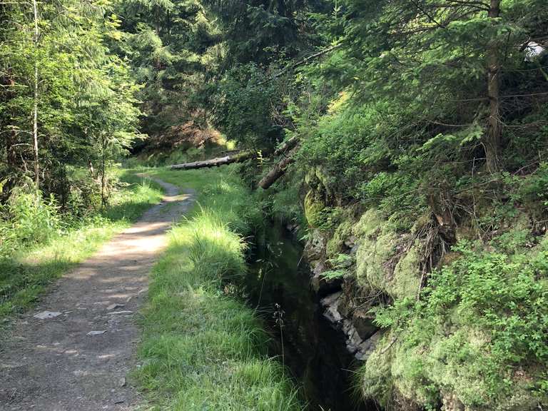 Grüner Graben: Wanderungen und Rundwege | komoot