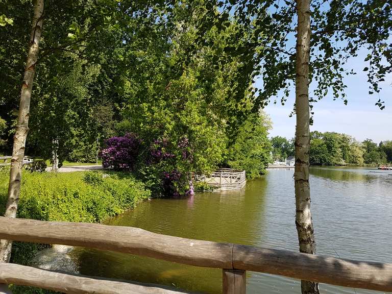 Großer und kleiner Teich Bad Nauheim wandelroutes en hikes Komoot