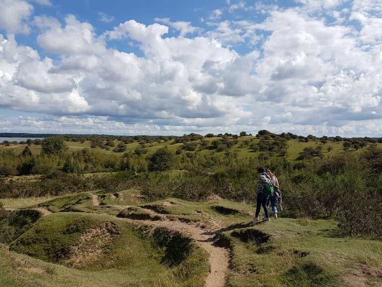 Naturschutzgebiet Halbinsel Devin - Routes for Walking and Hiking | Komoot