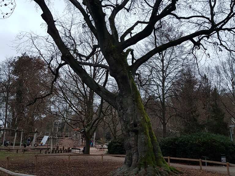 Alter Botanischer Garten, Tübingen Touren und Karten komoot