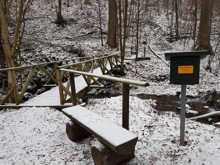 Neuer Teich, Dicke Tannen (HWN 45) Runde von Braunlage