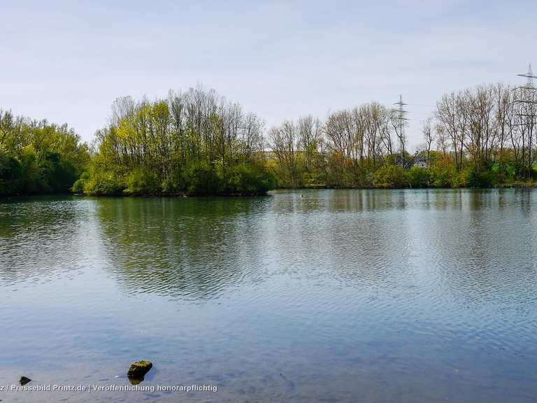 Harpener Teiche Blick Routes for Walking and Hiking Komoot
