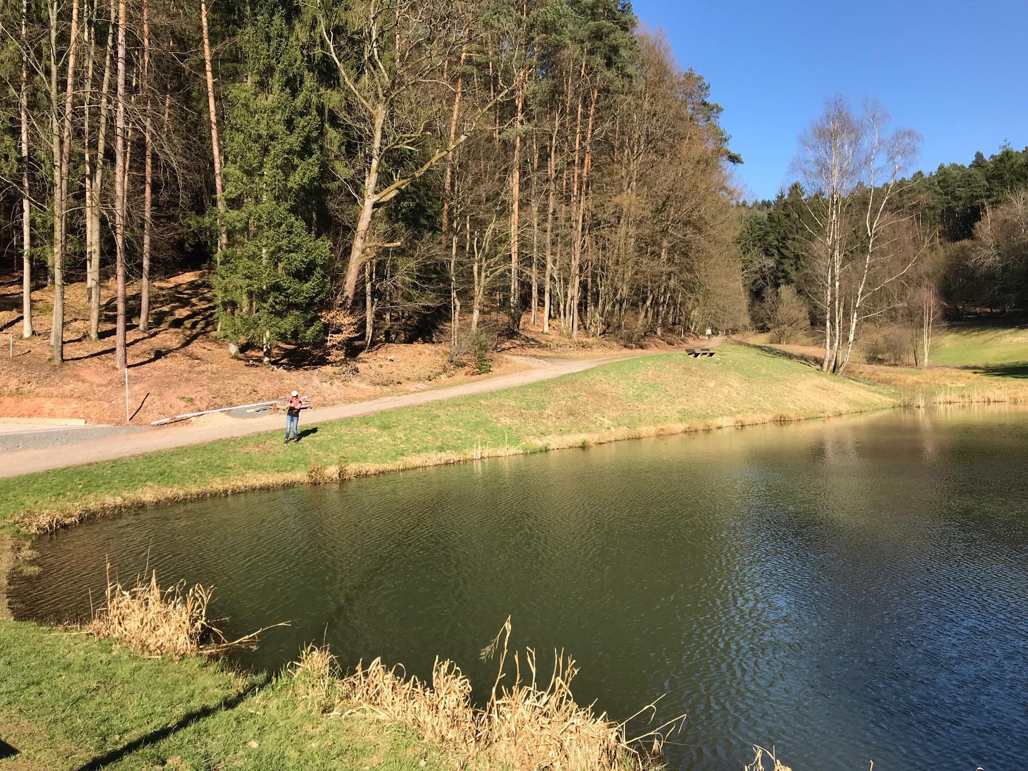 Panoramaweg Mit Blick Auf Heimbuchenthal: Wanderungen Und Rundwege | Komoot