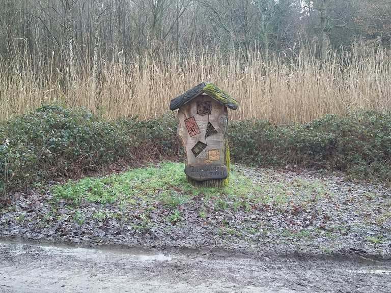 Sohlhöhe Wanderungen und Rundwege komoot