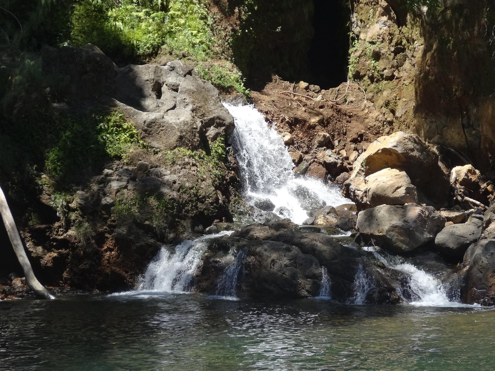 A waterfall cascades over dark rocks into a clear pool, surrounded by green foliage.