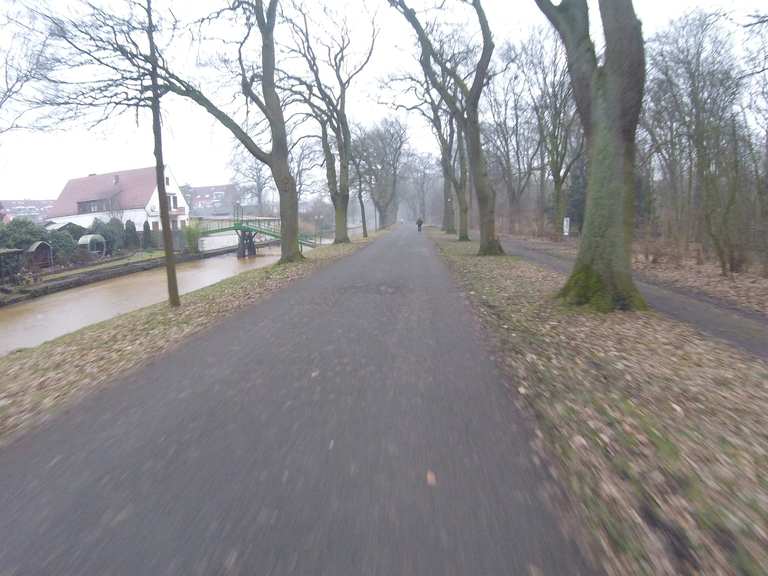 grüner weg mit fahrrad finforff waterfront