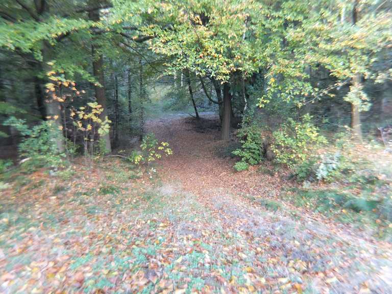 Langenberger Forst - Leck, Nordfriesland | Wanderweg | Komoot