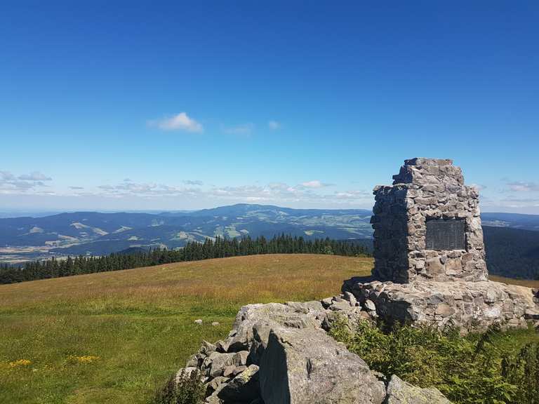 Hinterwaldkopf Wanderungen und Rundwege komoot