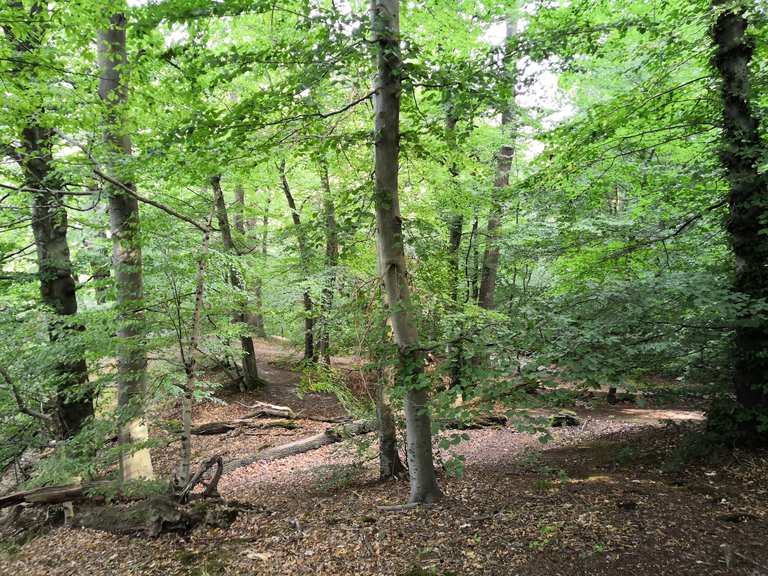 Eselstieg Wanderungen Und Rundwege Komoot