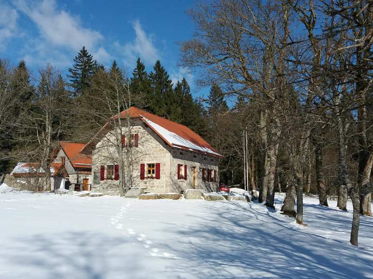 Waldhaus im Steinwald Wanderungen und Rundwege komoot
