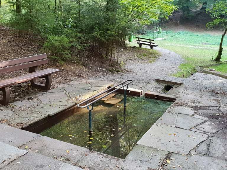 KNEIPP-Anlage im Gassbachtal Routes for Walking and Hiking | Komoot