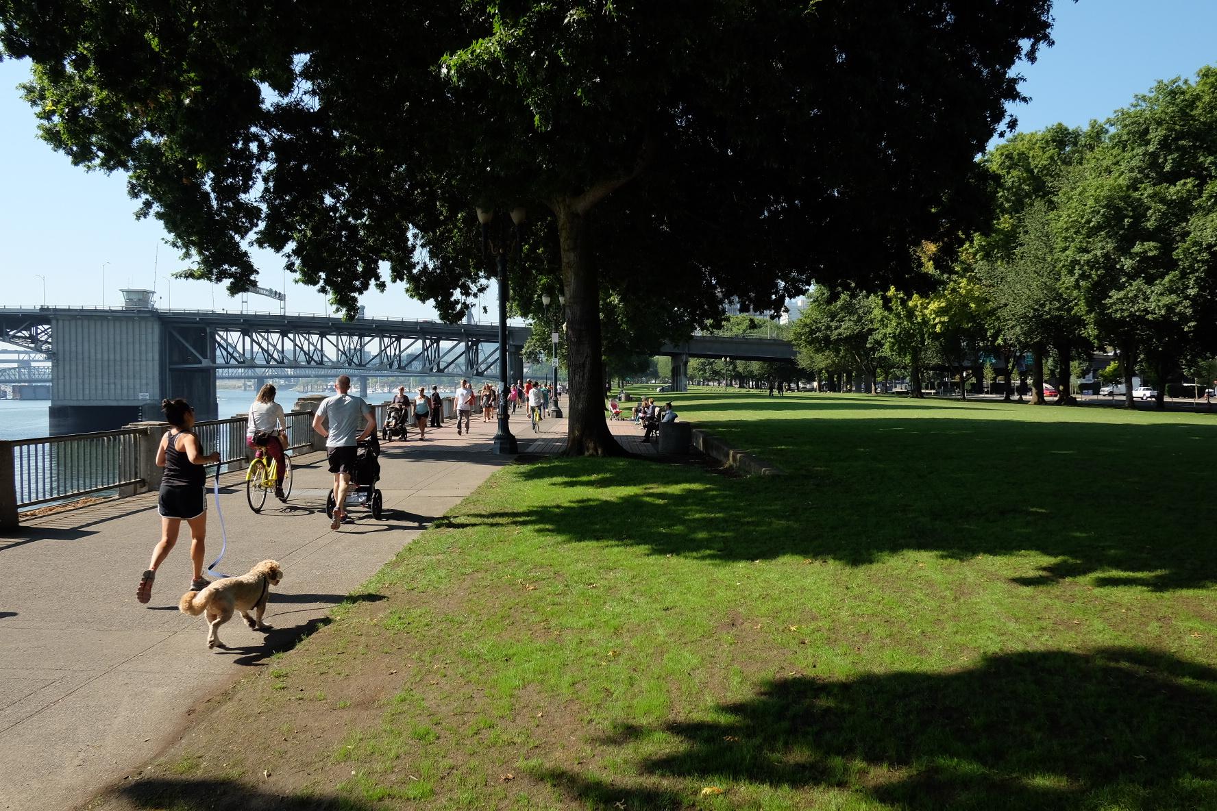 People walk and cycle with a dog in a sunny park by a river.