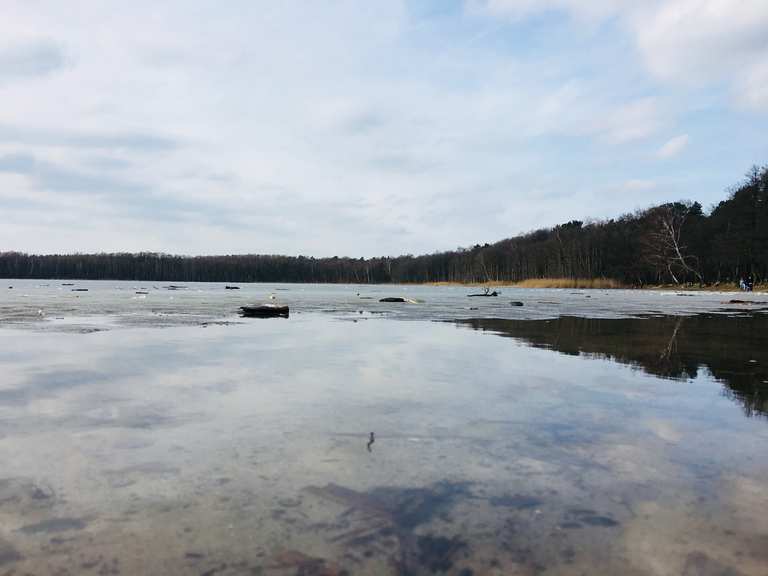 Gorinsee Wanderungen und Rundwege komoot