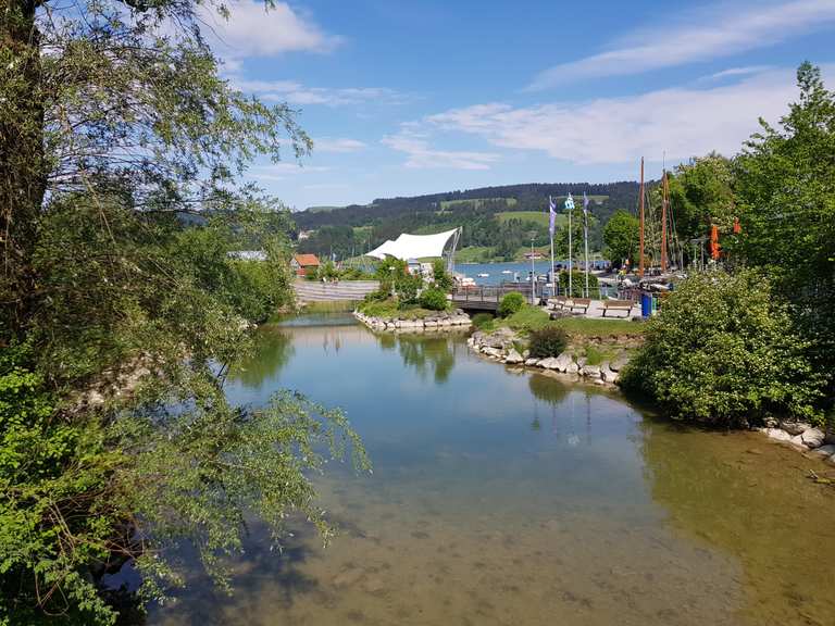 Großer Alpsee bei Immenstadt: Wanderungen und Rundwege | komoot
